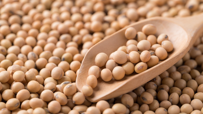 Soy bean scooped wooden spoon