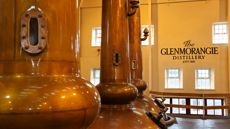 the copper stills in the Glenmorangie Distillery