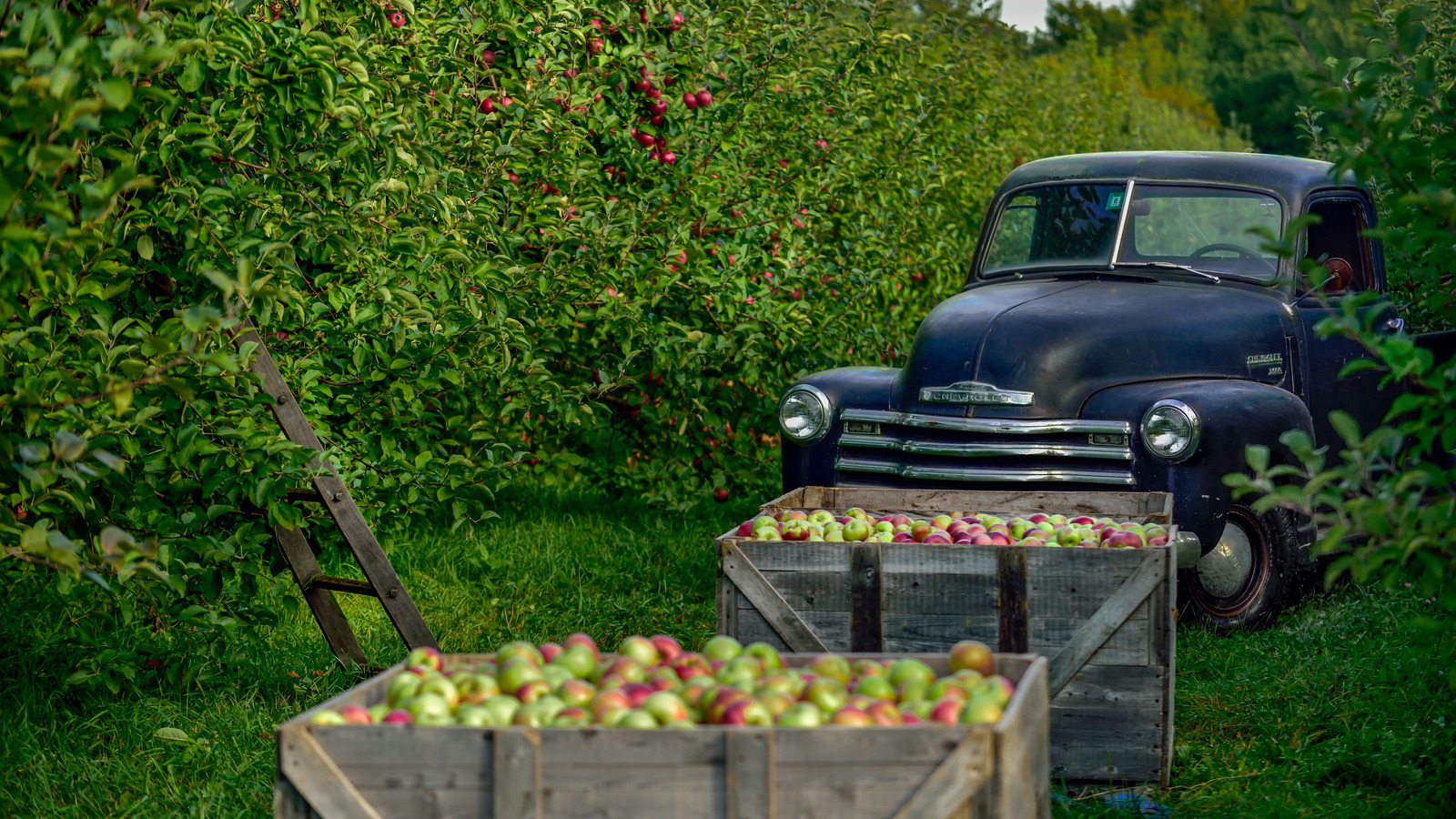 This Must-Visit Vermont Apple Orchard Has Its Own Distillery - Tasting Table