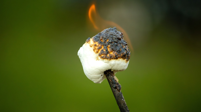 A burning marshmallow flaming on a stick.