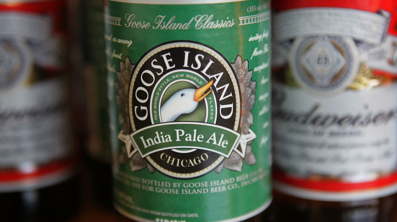 Goose Island IPA in front of out of focus Budweiser bottles
