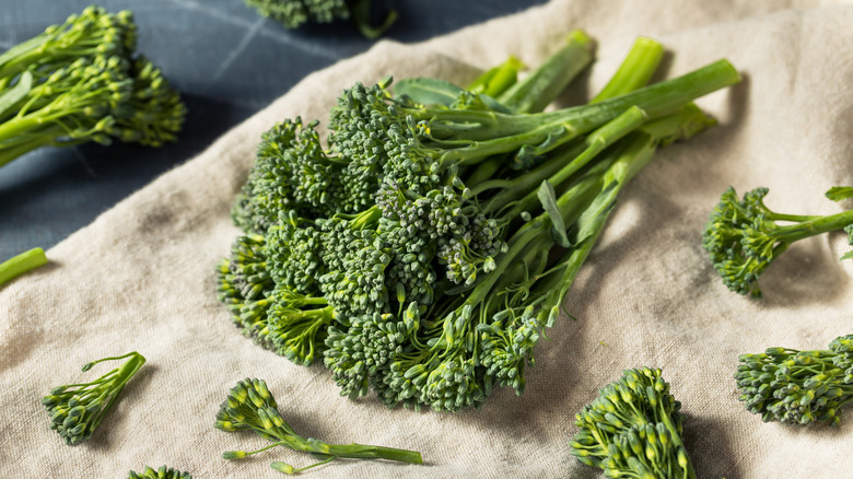 Fresh broccolini stalks