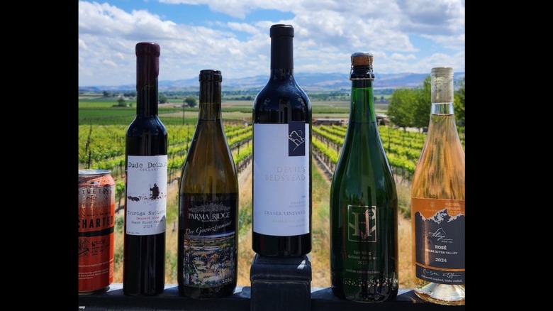Award winning bottles of wine from Idaho