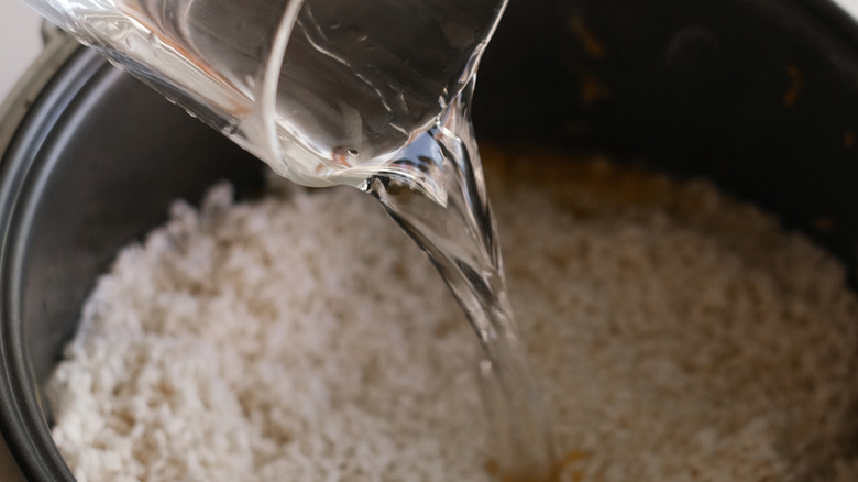 Someone pours water into a slow cooker