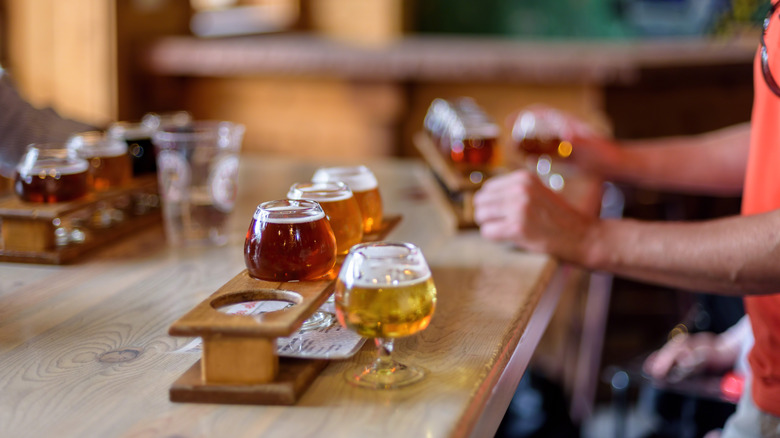 Craft beer tasters at brewery
