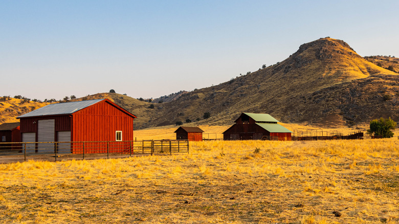 farm in California