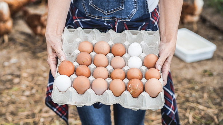 A farmer holding an open carton of eggs