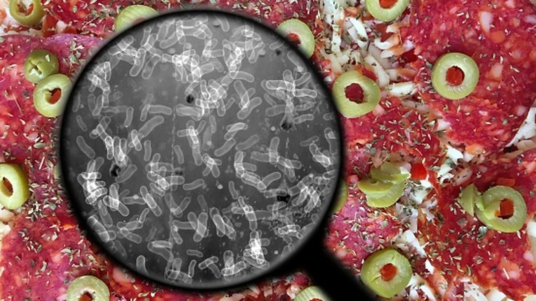 microscopic bacteria in deli meat