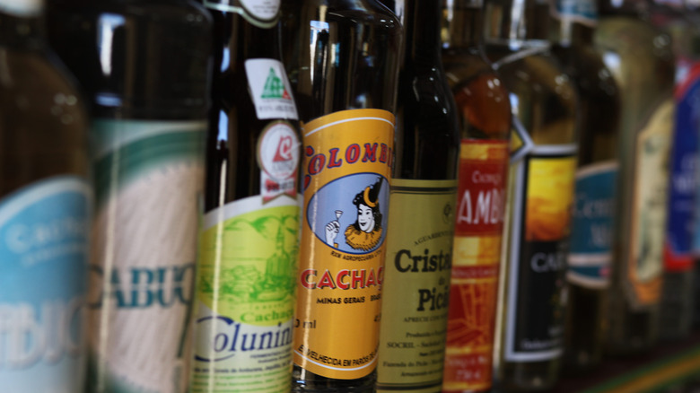 Bottles of different brands of cachaça lined up in a row