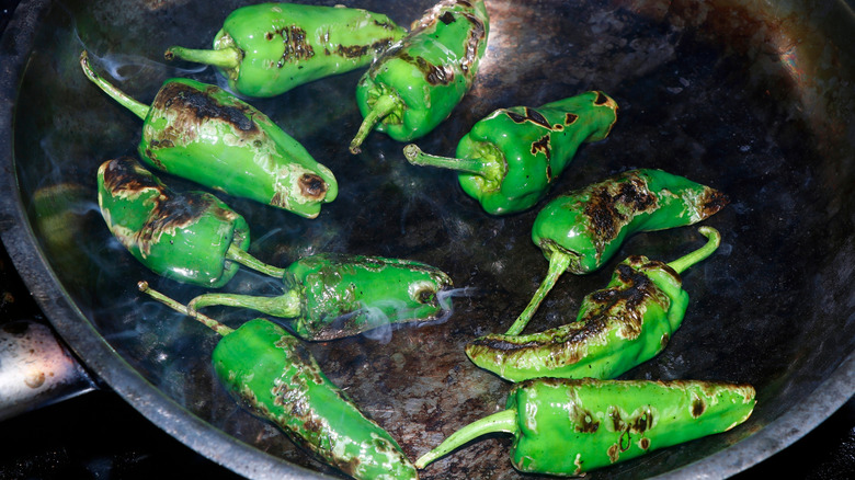 blistered padrón peppers in a pan