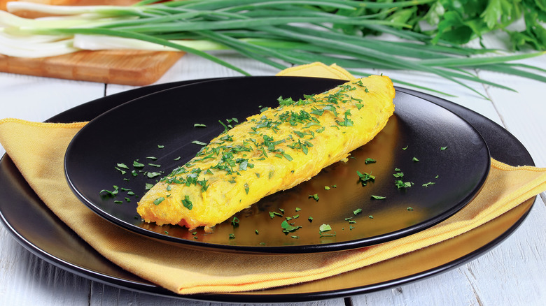 an omelet on a plate