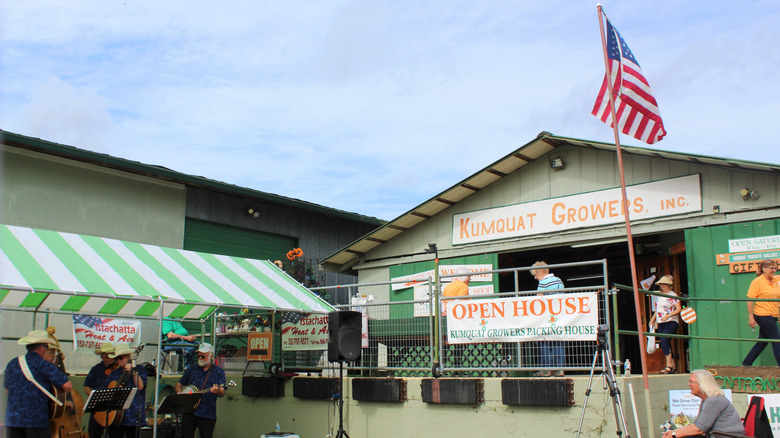 Kumquat Growers in Florida