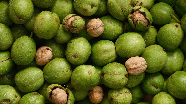 Fresh, unhusked black walnuts, some of which are bursting out of their green husks