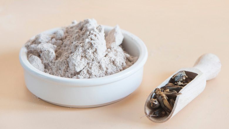 cricket powder in a bowl next to a spoon with whole crickets