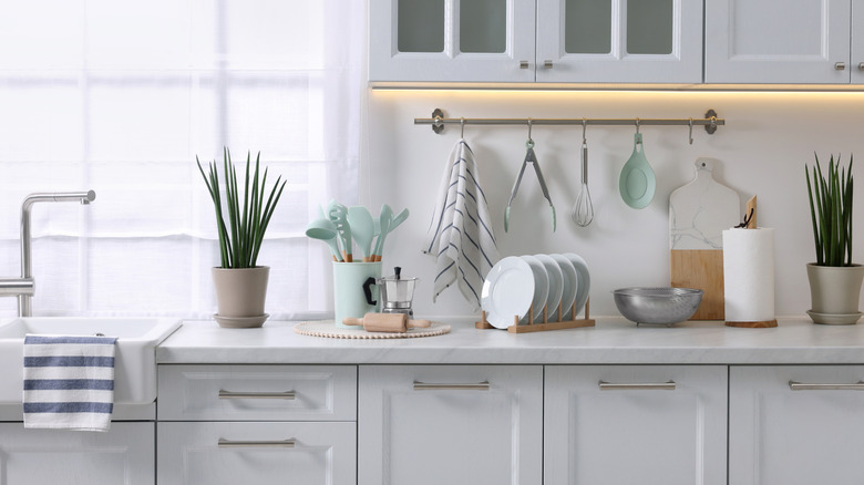 kitchen counter top view with several items on it including a pot with utensils, flower pots, plates, and more