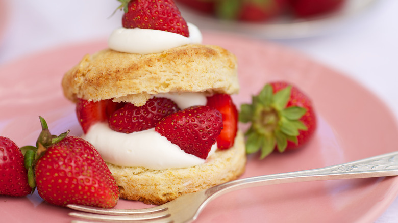 strawberry shortcake on pink plate