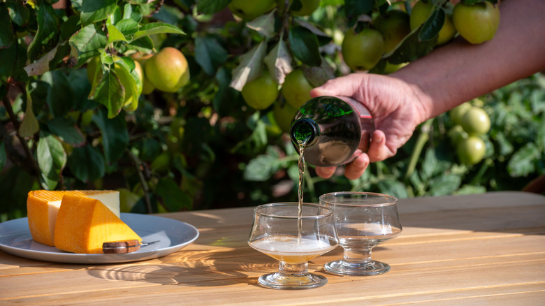 a hand pouring French cider into glasses on a wooden table beside a plate of cheese, with apple trees in the background