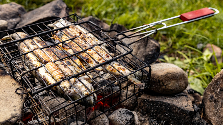 Two trout grilling in a basket over coals