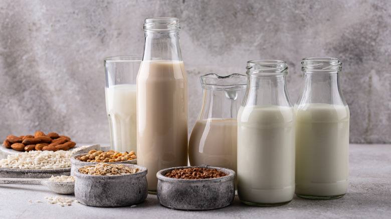 Types of alternative milk in jars