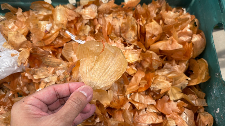 A person holding an onion peel over a big pile of onion peels