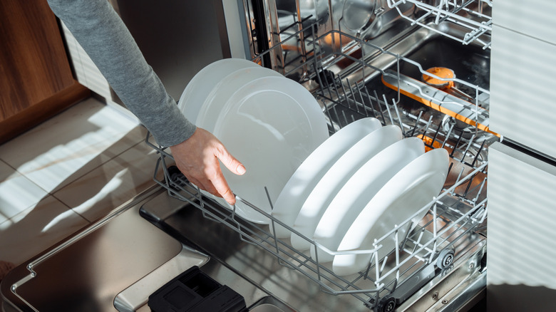 Open dishwasher with lower rack pulled out