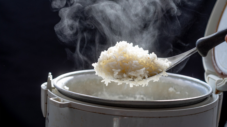 Spoonful of cooked rice