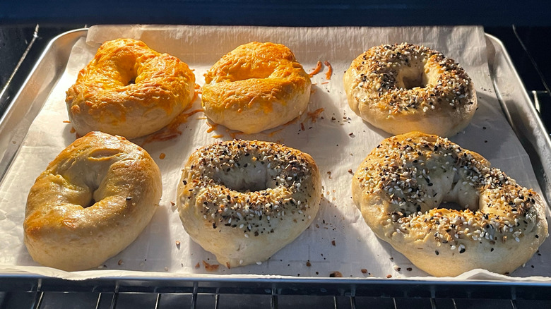 A tray of homemade sourdough bagels baking on tray in oven