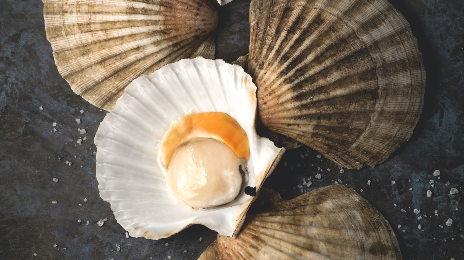 To Guarantee Clean Scallops, Rinse Them In Sparkling Water