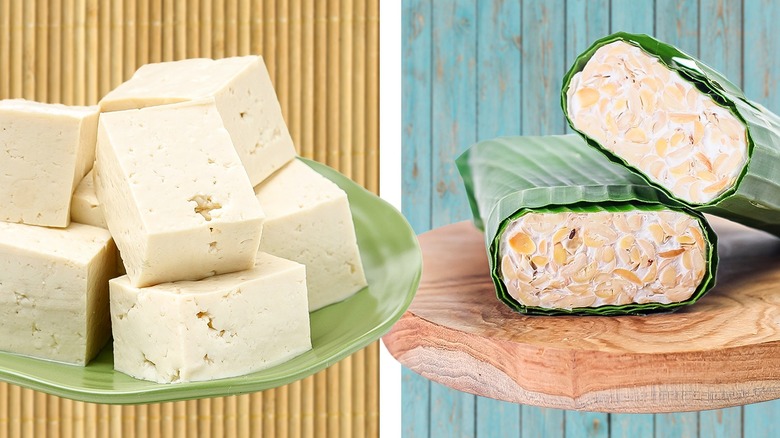 Tofu and tempeh comparison