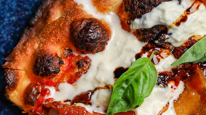 A close-up on a slice of Tokyo-style Neapolitan pizza, showing fresh basil, melted cheese, and charred air bubbles in the crust