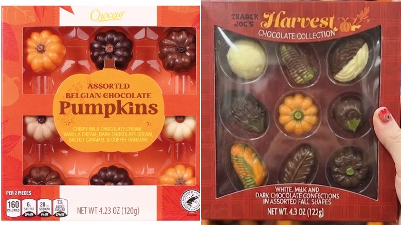 A box of Choceur Assorted Belgian Chocolate Pumpkins next to Trader Joe's Harvest Chocolate Collection