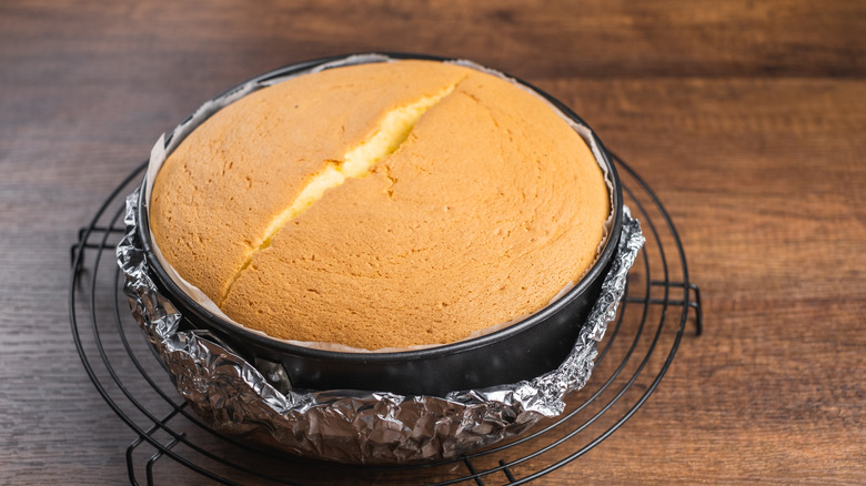 Japanese cheesecake on cooling rack