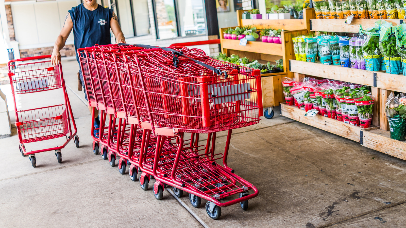 The High Protein Trader Joe's Prepared Item I Always Buy For Busy Lunches - Tasting Table