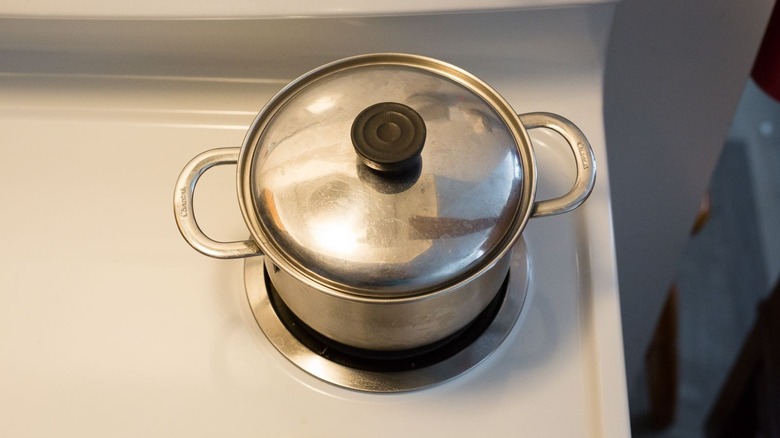 Covered pot on stovetop