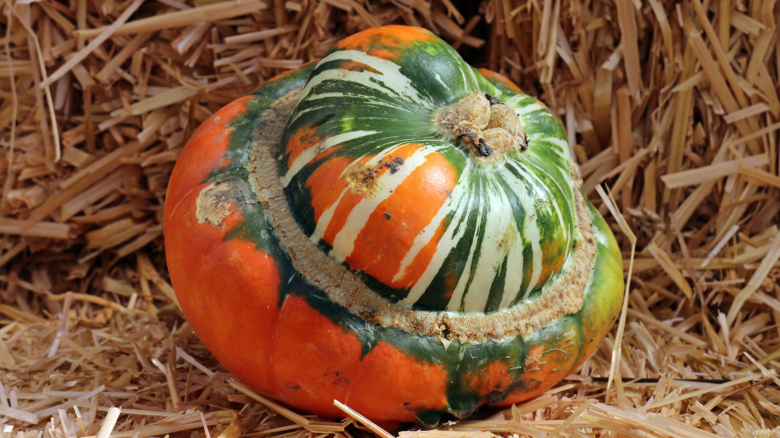 Turban Squash Is The Underrated Veg You Should Be Cooking Up This Fall