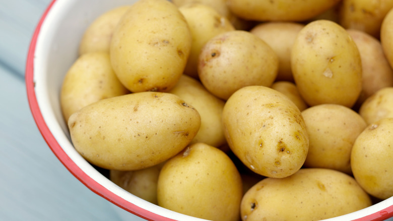 bowl of small yukon golds