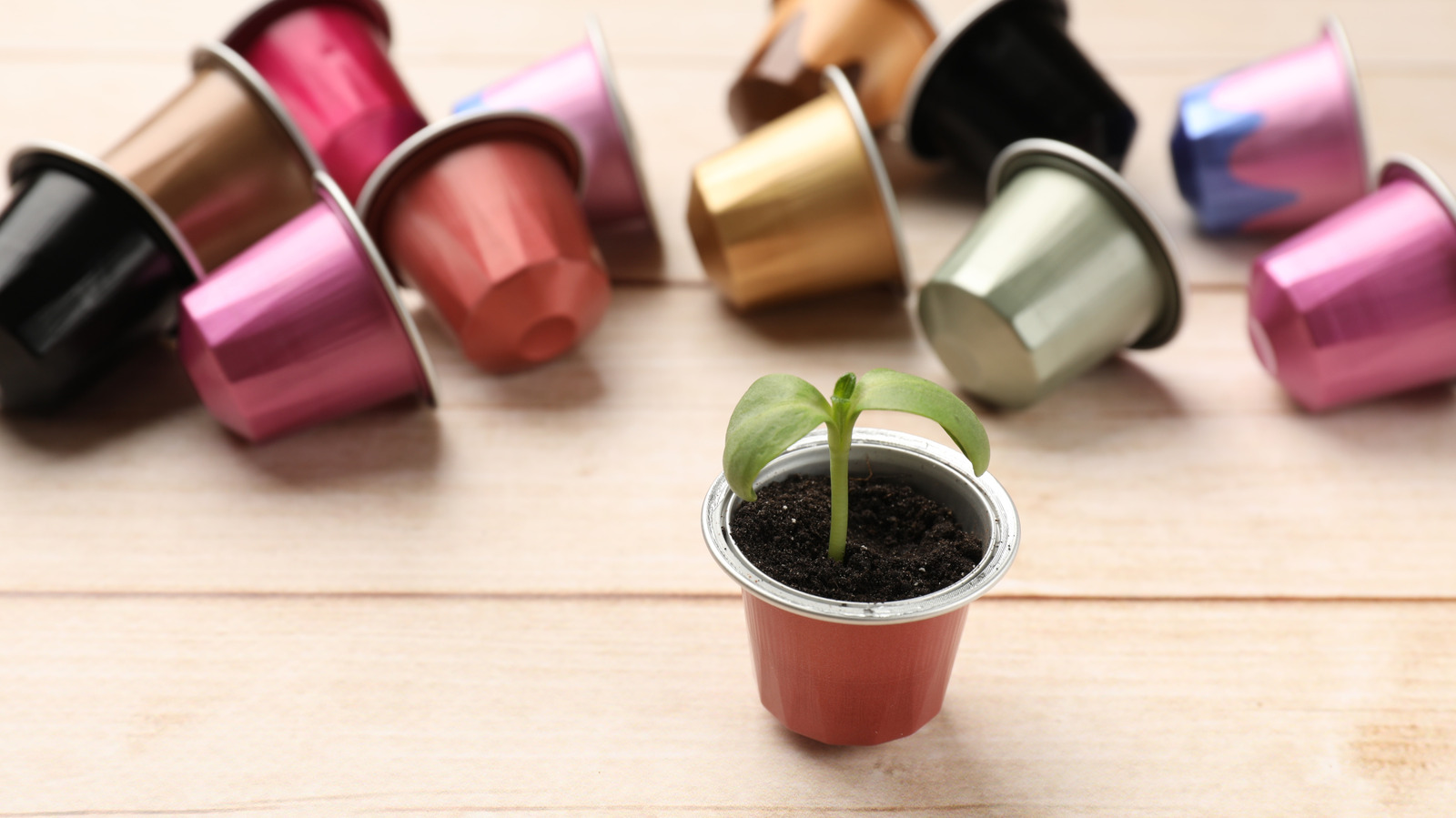 Turn Used Coffee Pods Into Seed Starters For Your Garden