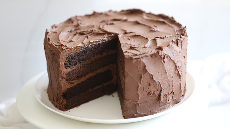 Devil's food cake on a white plate