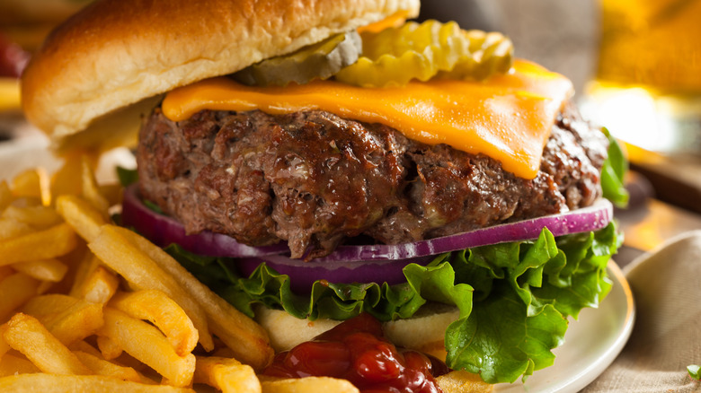 Bison hamburger with fries