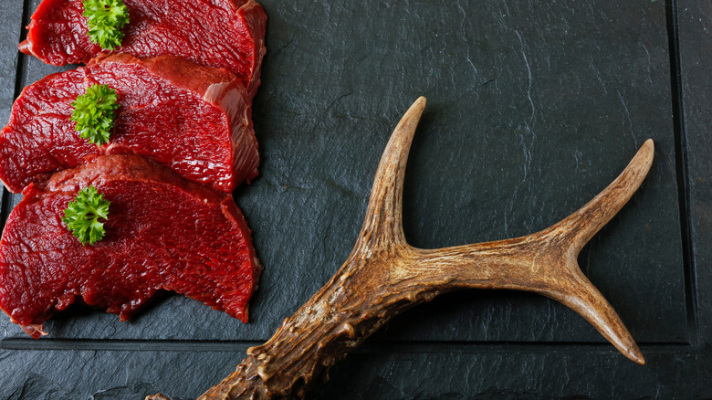 Venison steak with antlers