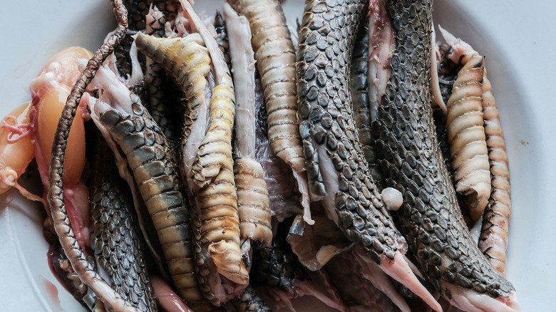 Pieces of snake meat on a plate