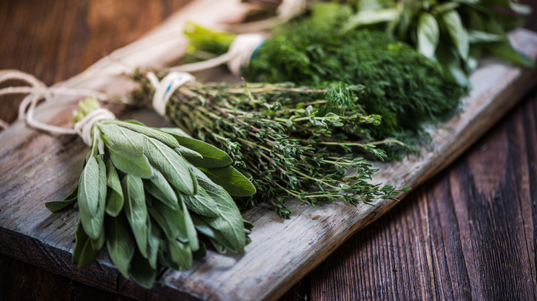 Sprigs of fresh herbs laid out on a wooden cutting board