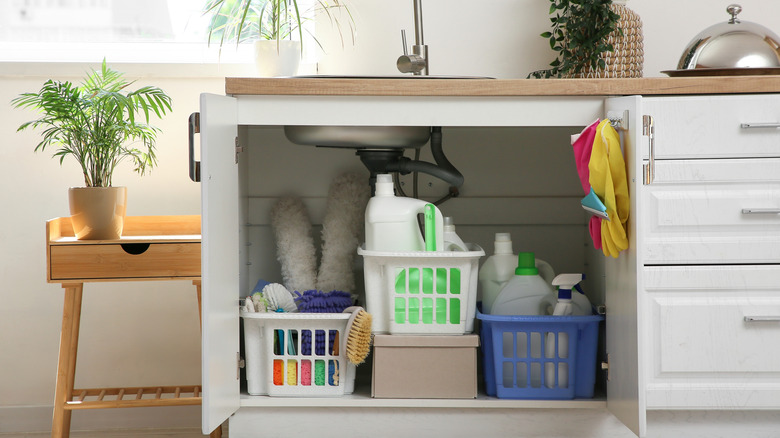 Under sink bottles and cleaning supplies