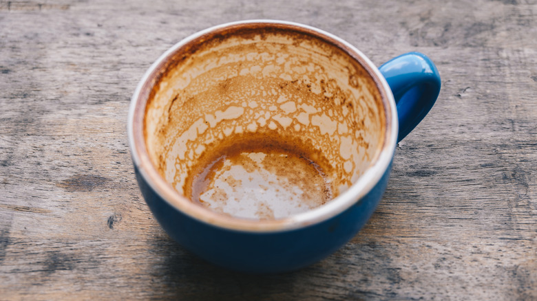Blue coffee mug with white interior stained brown by coffee