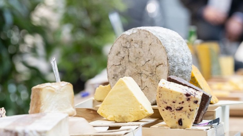Several cheeses on display at the Cheese and Dairy Products Show