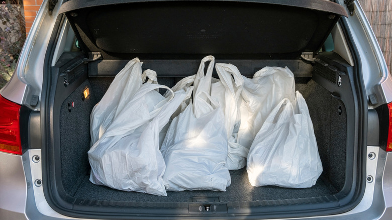 Groceries in bags in open trunk of car