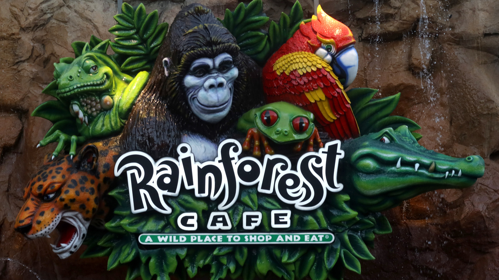 Unwritten Rules To Know Before Visiting Rainforest Cafe - Tasting Table