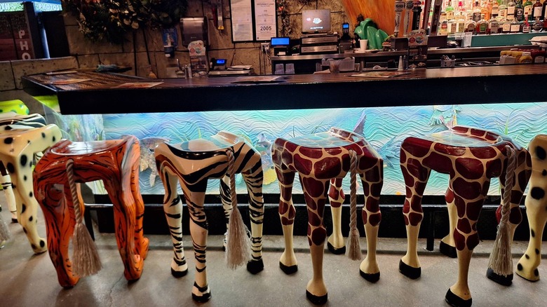 Bar at Rainforest Cafe with animal barstools