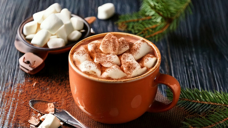 mug of hot chocolate with marshmallows