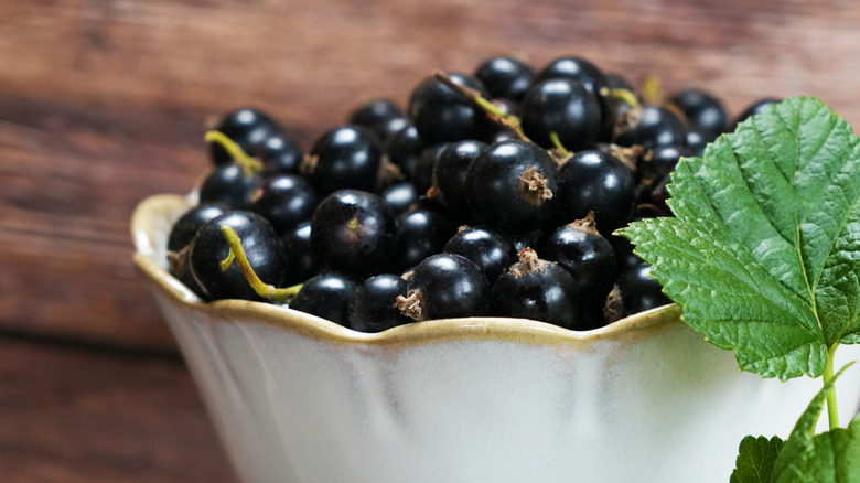 Blackcurrant berries in a white bowl